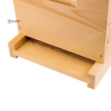 6 Frame Nuc Kit