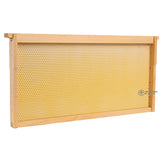 Assembled Deep Frame with White Foundation