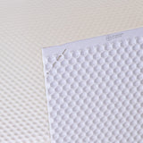 Canacell 6" (Medium) White Plastic Foundation