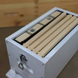 Lyson 6 Frame Nucleus Polystyrene Hive Kit