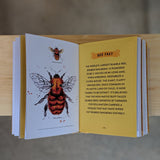 Little Book of Bees - An illustrated guide to the extraordinary lives of bees by Hilary Kearney