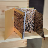 Queenspotting - Meet the Remarkable Queen Bee and Discover the Drama at the Heart of the Hive