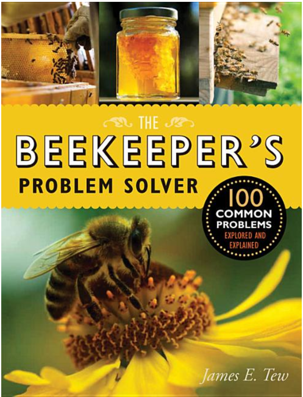 The Beekeepers Problem Solver by James E. Tew
