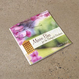 Mason Bees for the Backyard Gardener