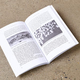 The Secrets of Bees - An Insider's Guide to the Life of Honeybees