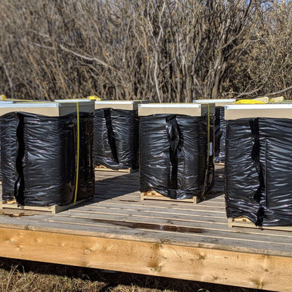 Should I open my hive in the winter?