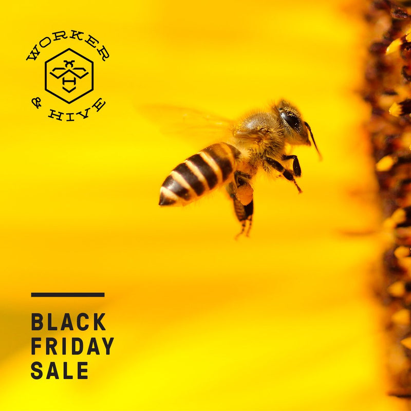 Worker and Hive Bee Supply Calgary Black Friday Sale