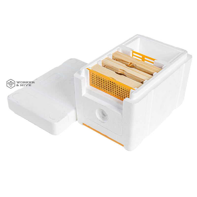 Mini Mating Nuc with Wood Frames