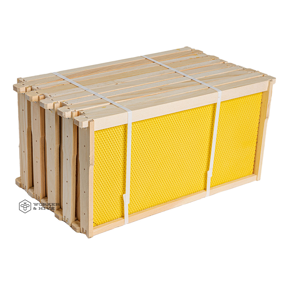 Assembled Deep Frame with Yellow Foundation