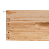 6 5/8" (Medium) Hive Body - Alliance