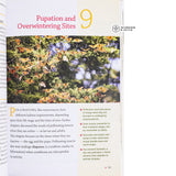 Attracting Native Pollinators