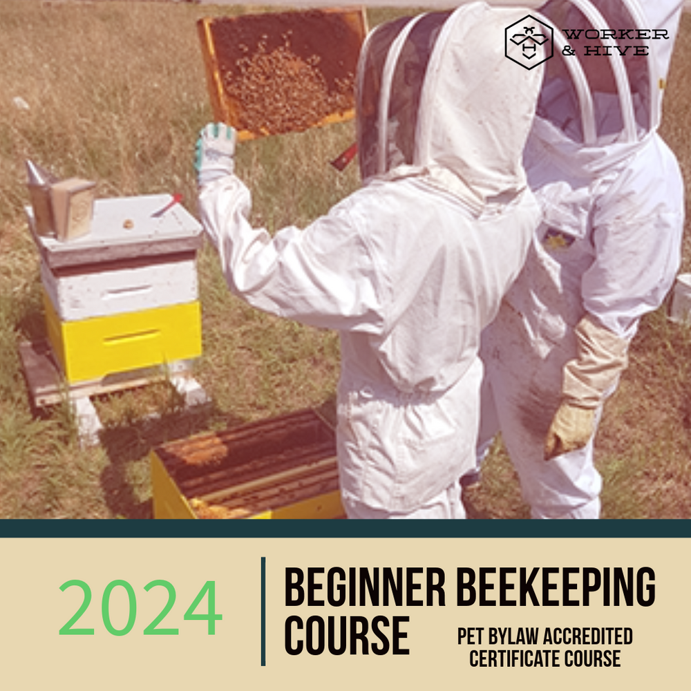 Beginner Beekeeping Course – Worker and Hive Bee Supply