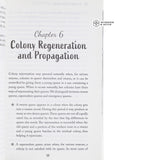 Biodynamic Beekeeping