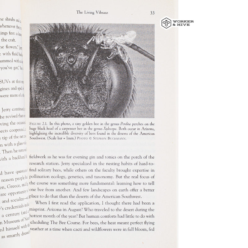 Buzz: The Nature and Necessity of Bees