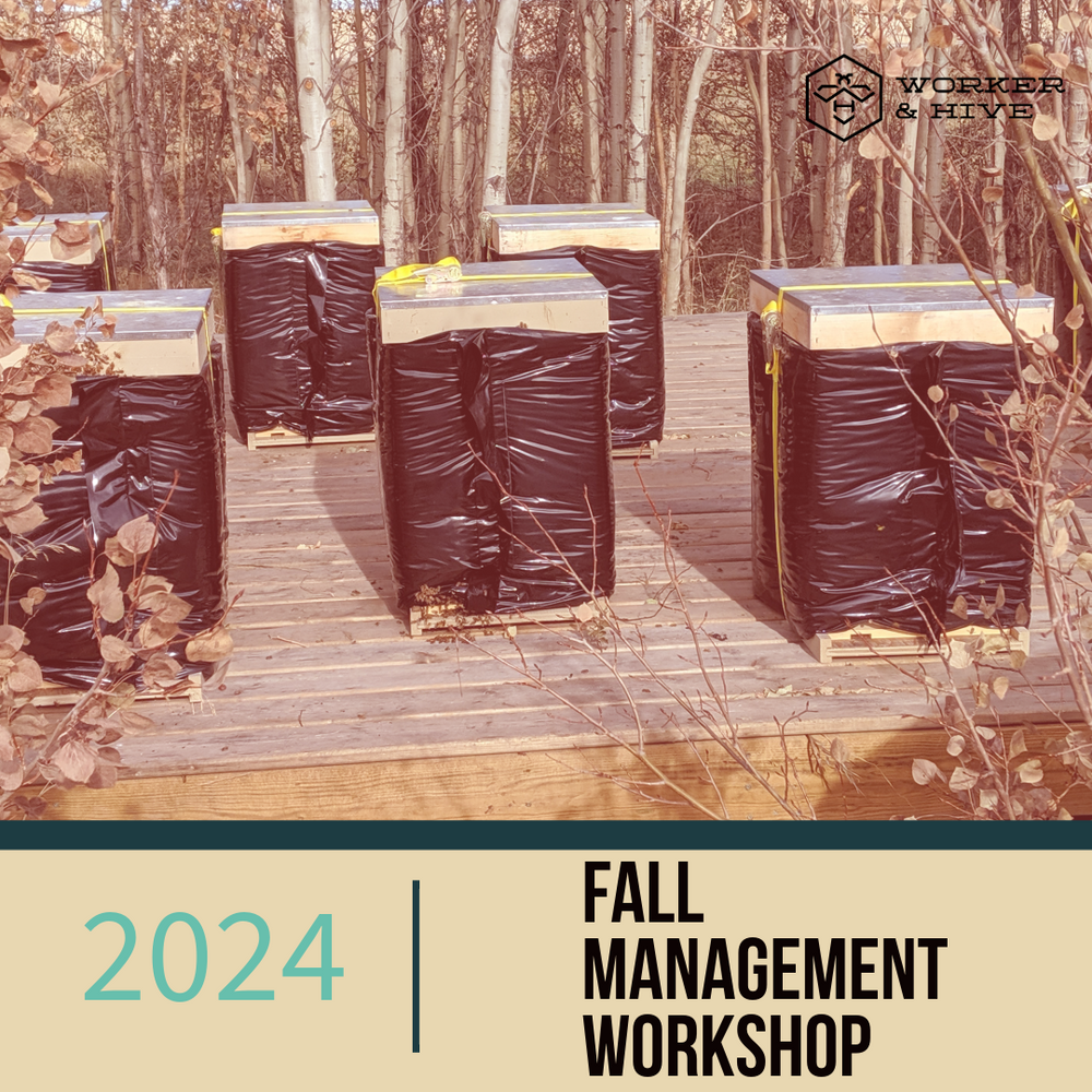 Fall Management Workshop