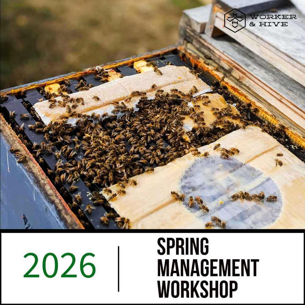 Spring Management Workshop