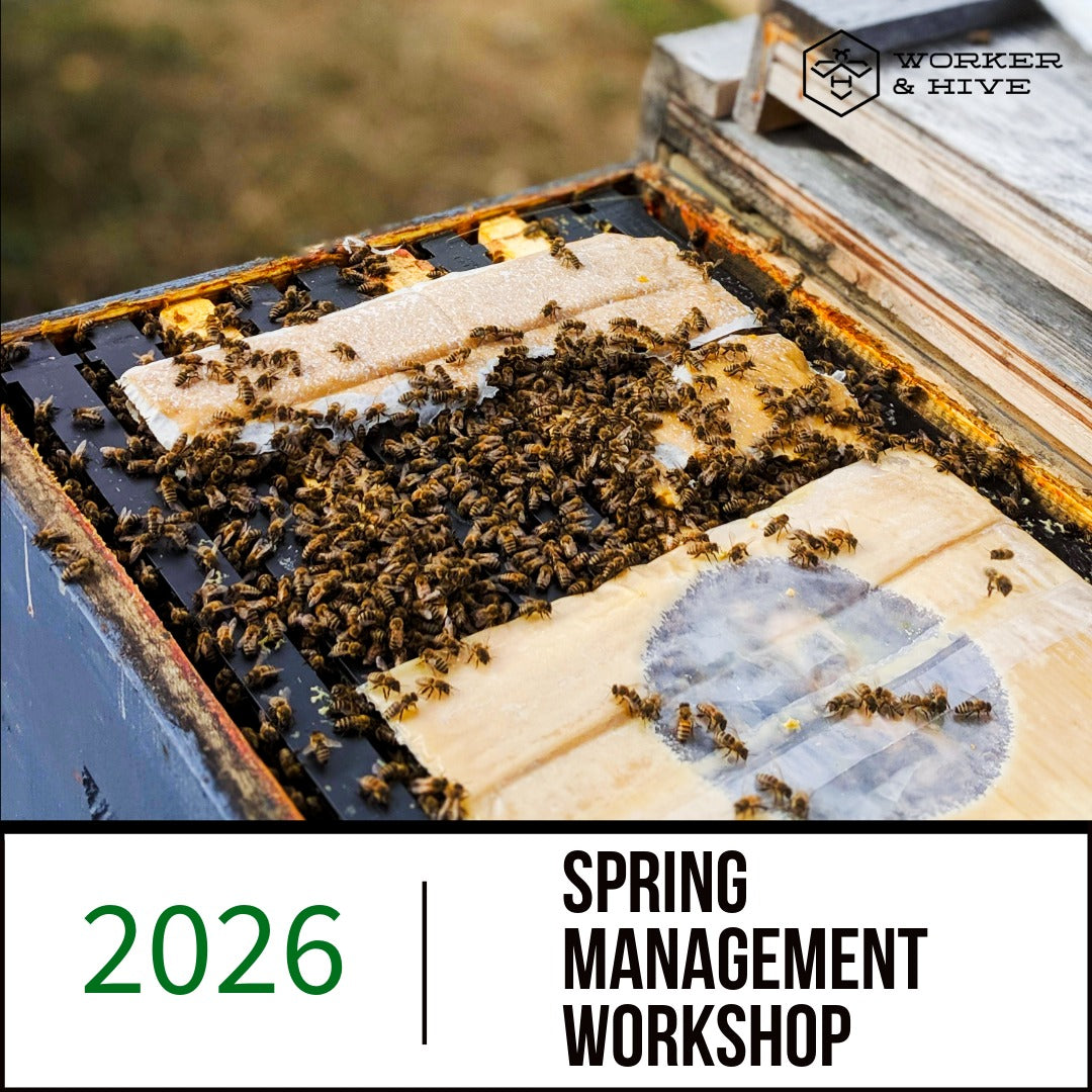 Spring Management Workshop — Worker and Hive Bee Supply