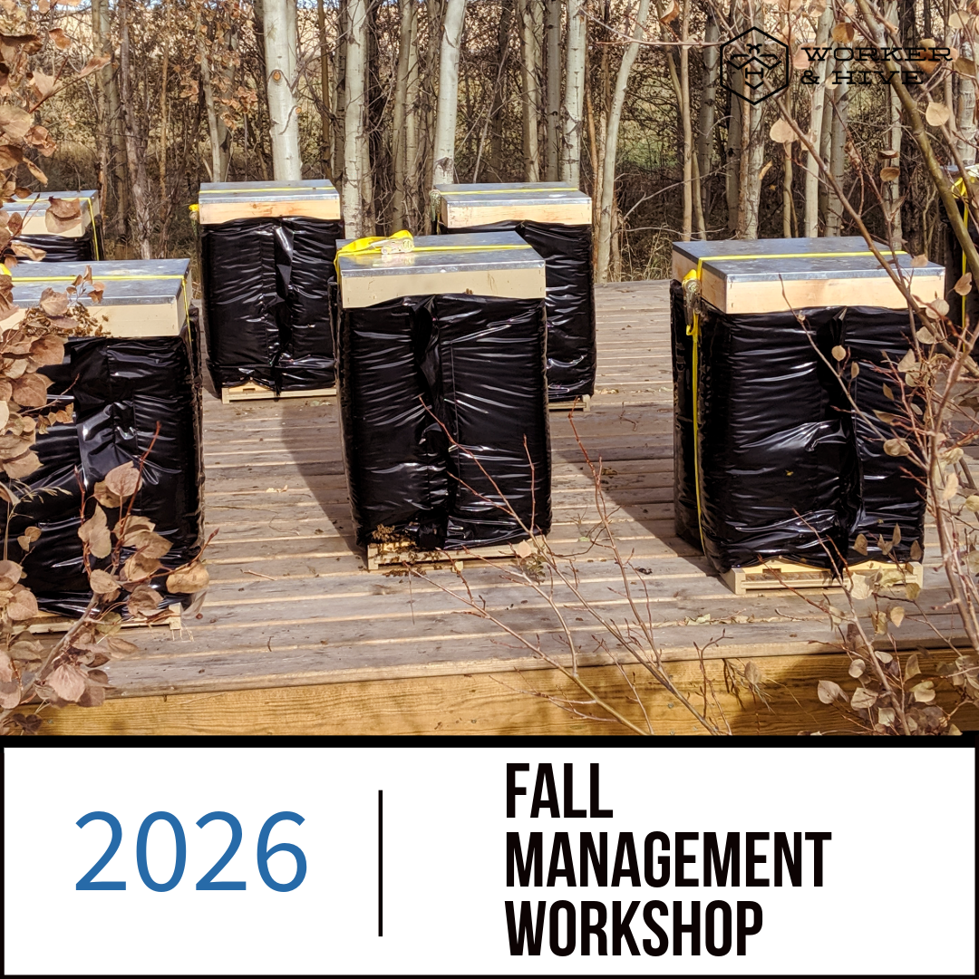 Beekeeping courses