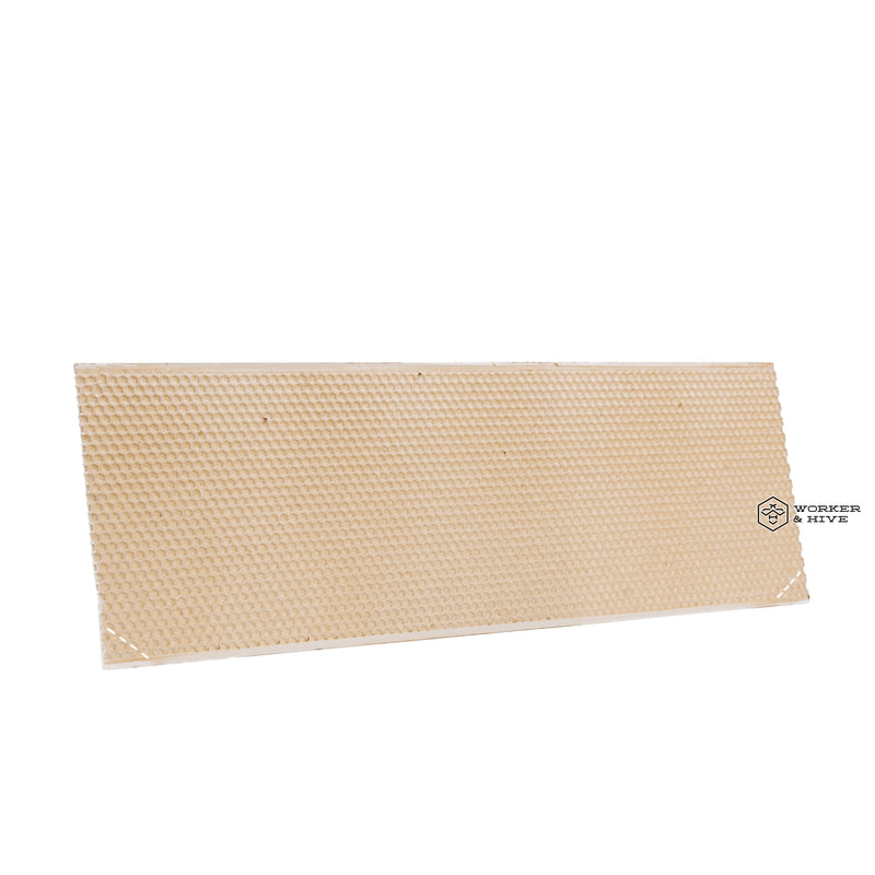 Canacell 6" (Medium) White Plastic Foundation