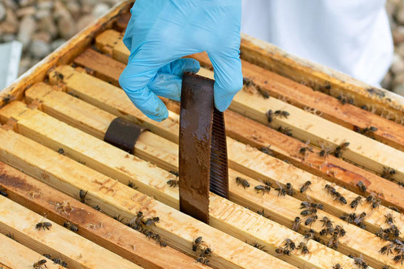 HopGuard 3 Mite Treatment