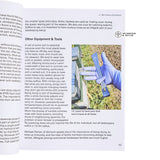 Healthy Bees, Heavy Hives - How to maximise your honey crop