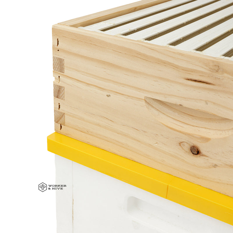 HiveIQ Plastic Adapter Rim for Wooden Hive Boxes