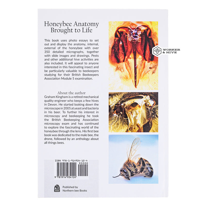 Honeybee Anatomy Brought to Life