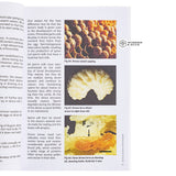 Honeybee Anatomy Brought to Life