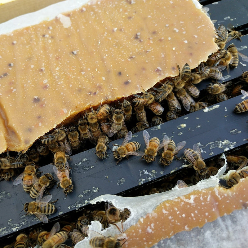 Pollen Patties 15% - With Apisave /1