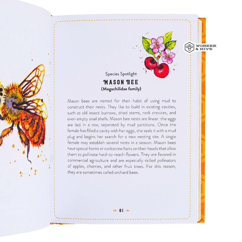 Little Book of Bees - An illustrated guide to the extraordinary lives of bees by Hilary Kearney