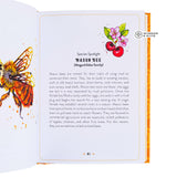 Little Book of Bees - An illustrated guide to the extraordinary lives of bees by Hilary Kearney
