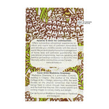 Little Books on Bees - Bumble Bees