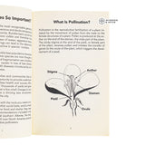 Little Books on Bees - Bumble Bees