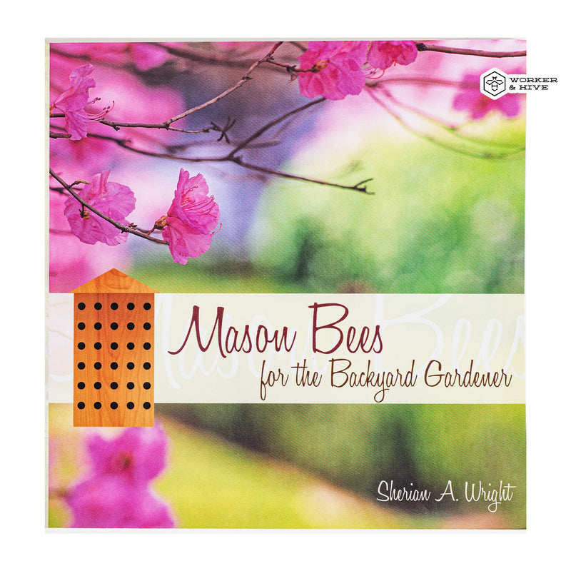 Mason Bees for the Backyard Gardener