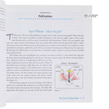 Mason Bees for the Backyard Gardener