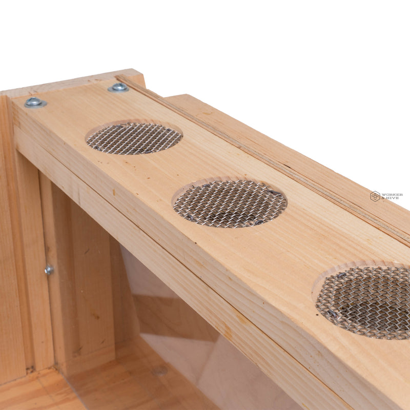 Observation Hive