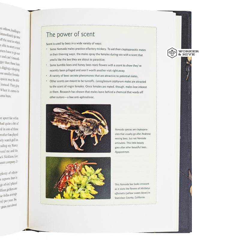 Our Native Bees - North America's Endangered Pollinators and the Fight to Save Them