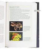 Our Native Bees - North America's Endangered Pollinators and the Fight to Save Them