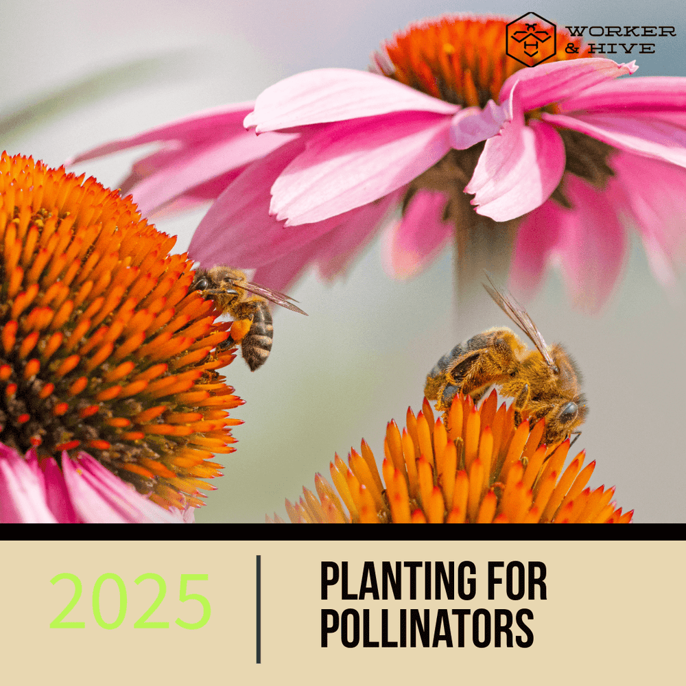 Planting for pollinators