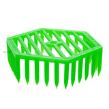 Queen Introduction Cage