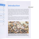 Splitting Colonies for the Small Scale Beekeeper