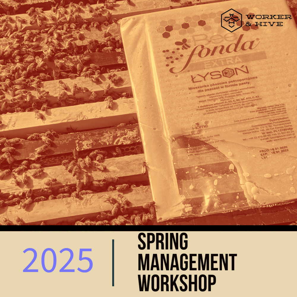 Spring Management Workshop