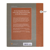 The BEE A Natural History By Noah Wilson-Rich