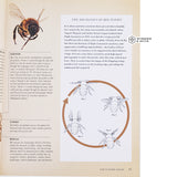 The BEE A Natural History By Noah Wilson-Rich
