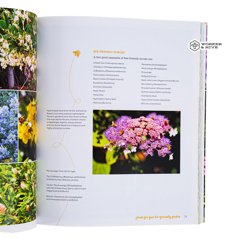 The Bee-Friendly Garden