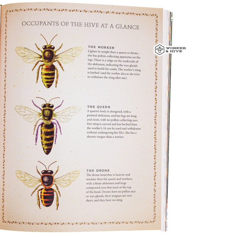 The Beekeepers Bible - Hard Cover