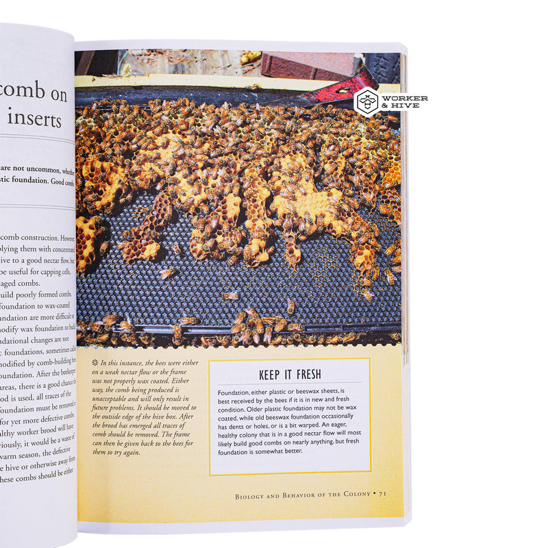 The Beekeepers Problem Solver by James E. Tew