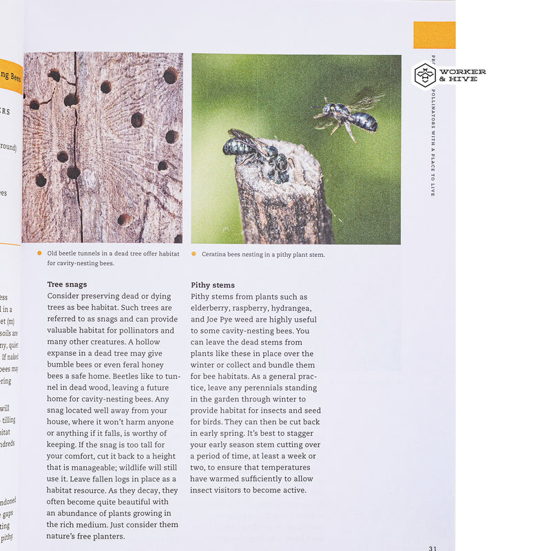 The Pollinator Victory Garden