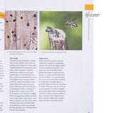 The Pollinator Victory Garden