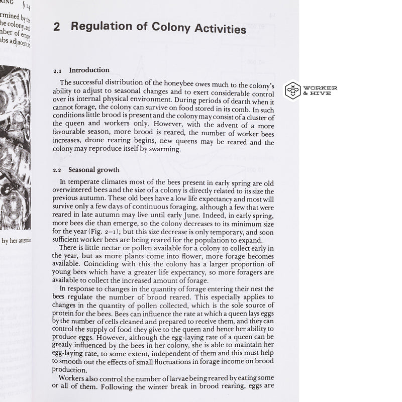 The Social Organization of Honeybees
